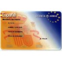 TEMARIO PARA LICENCIAS D / E